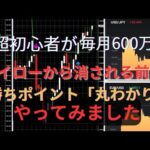 ハイローから毎月600万！勝ちポイント「丸わかり」ツール！超初心者でも簡単に出来る勝ち方！やってみました【バイナリーオプション】【ハイローオーストラリア】【FX】【トレード】